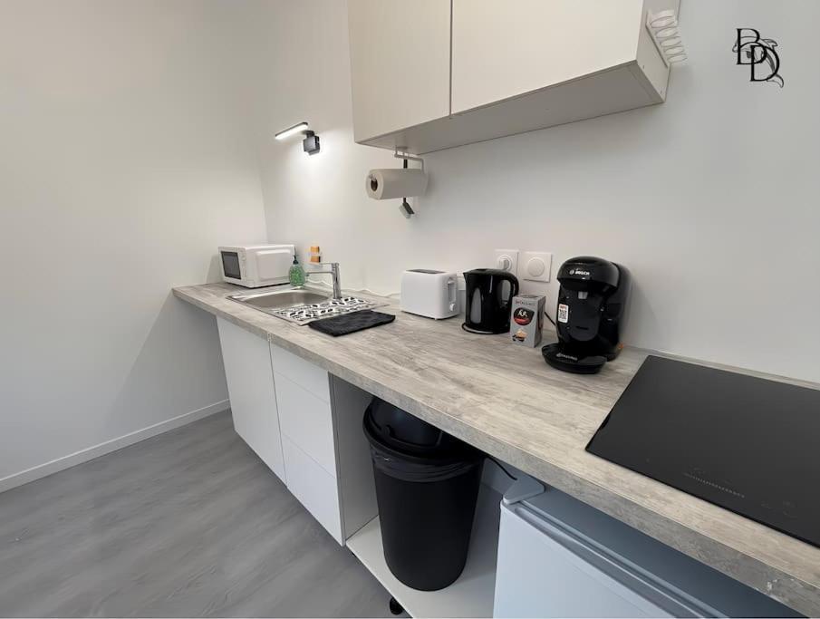 T1 Bis Appartement B3 30M2 Cosy 7Min A Pieds Des Gares 로안 외부 사진